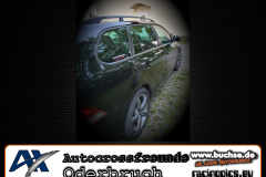 BuchseFriends_578